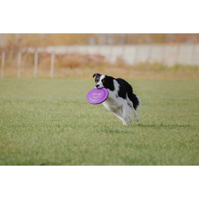 Custom 11" Frisbee