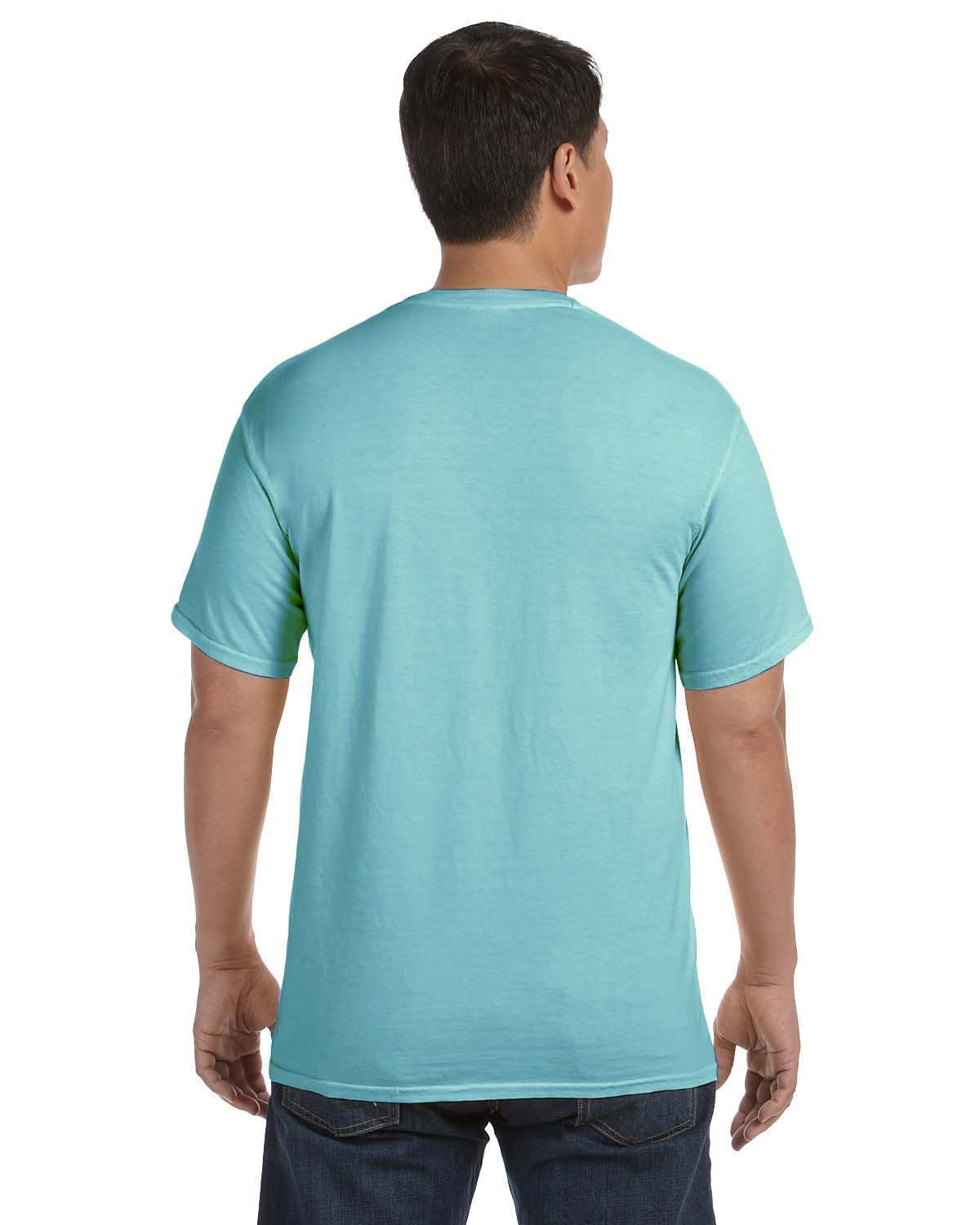 Comfort Colors Adult Heavyweight T-Shirt