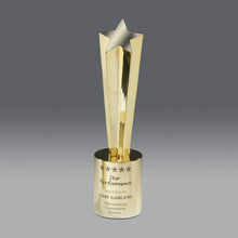 Load image into Gallery viewer, Shooting Star Award

