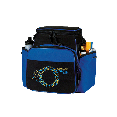 Sport Edition Insulated 12 Pack Cooler
