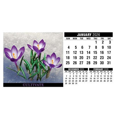 Desk Calendars