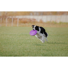 Charger l&#39;image dans la galerie, Custom 11&quot; Frisbee
