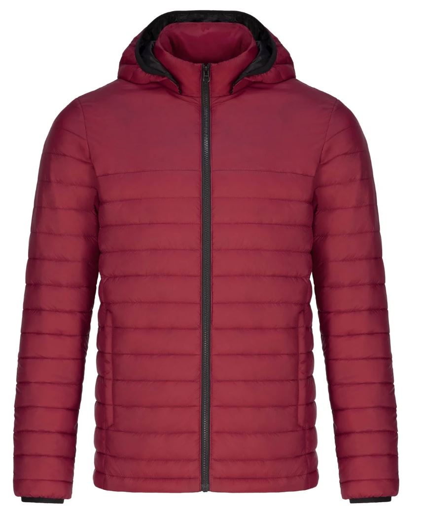 Men's Puffy Jacket w/ Detachable Hood-Canyon
