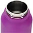 Load image into Gallery viewer, Endurance Powder Coated Bottle 32 oz
