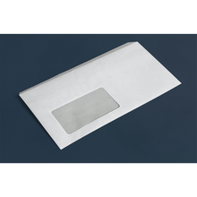 Load image into Gallery viewer, Custom #10 Envelops
