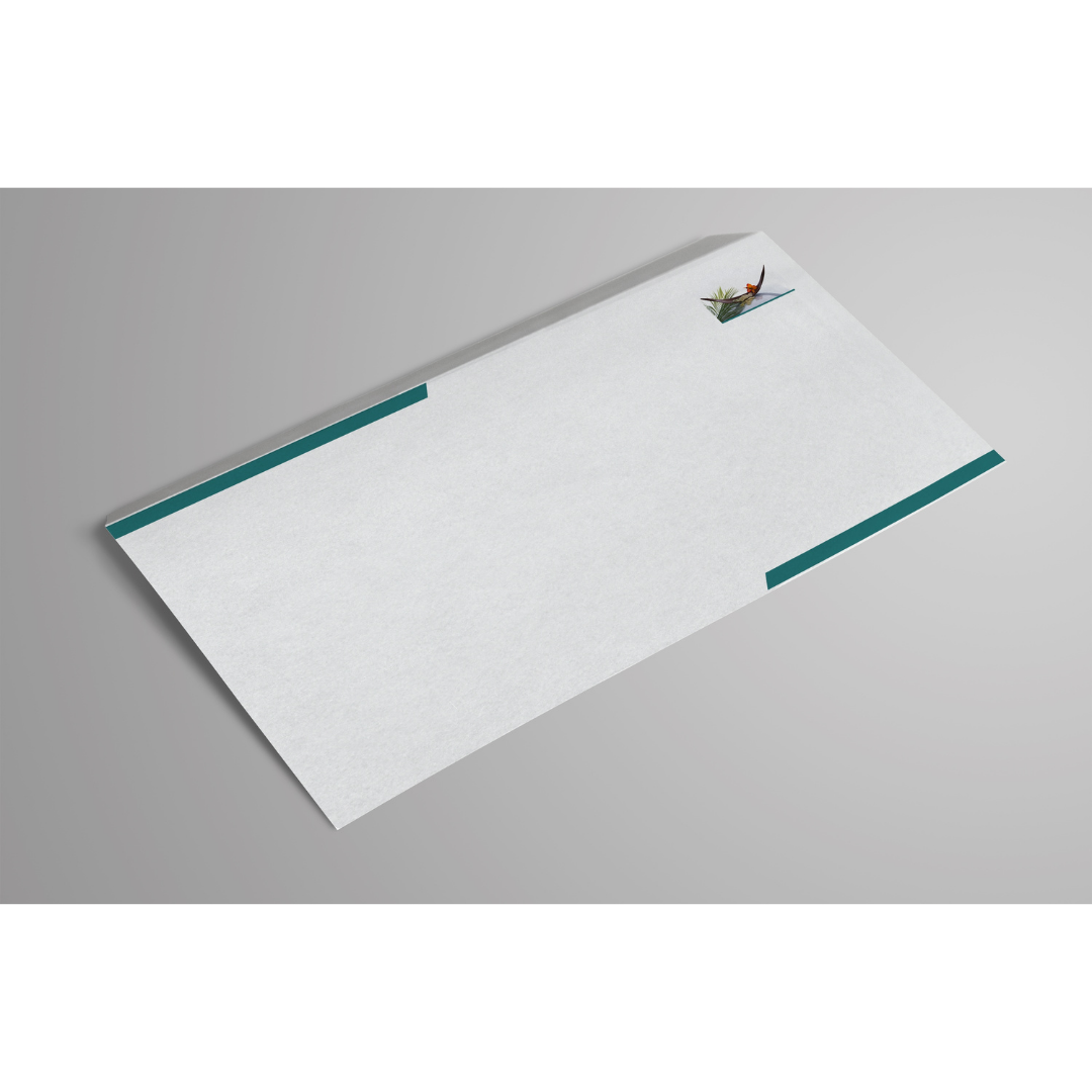 Custom #10 Envelops